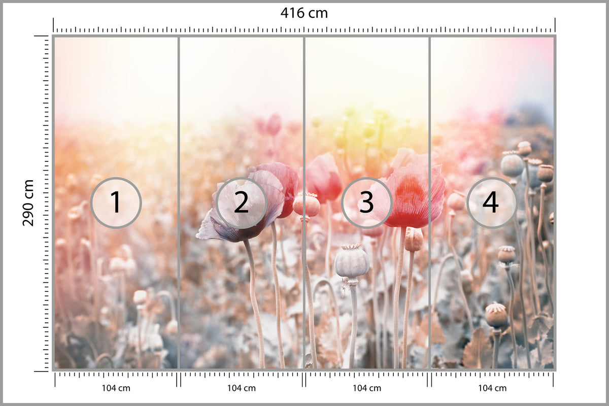 Fototapeta Pole Maków Pastelowe 416 × 290 cm – podgląd kadru