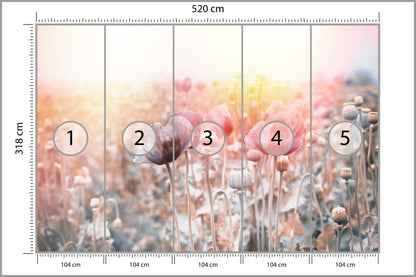Fototapeta Pole Maków Pastelowe 520 × 318 cm – podgląd kadru