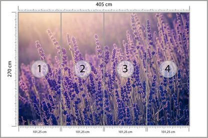 Fototapeta Lawenda Kwiaty W Ciepłym Świetle 405 × 270 cm – podgląd kadru