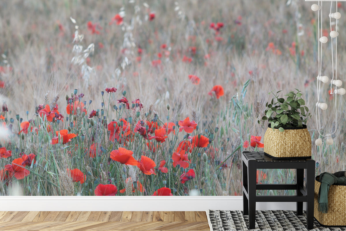 Fototapeta Pole Maków Wśród Traw – aranżacja wnętrza