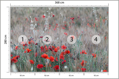 Fototapeta Pole Maków Wśród Traw 368 × 280 cm – podgląd kadru