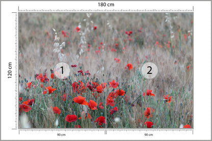 Fototapeta Pole Maków Wśród Traw 180 × 120 cm – podgląd kadru