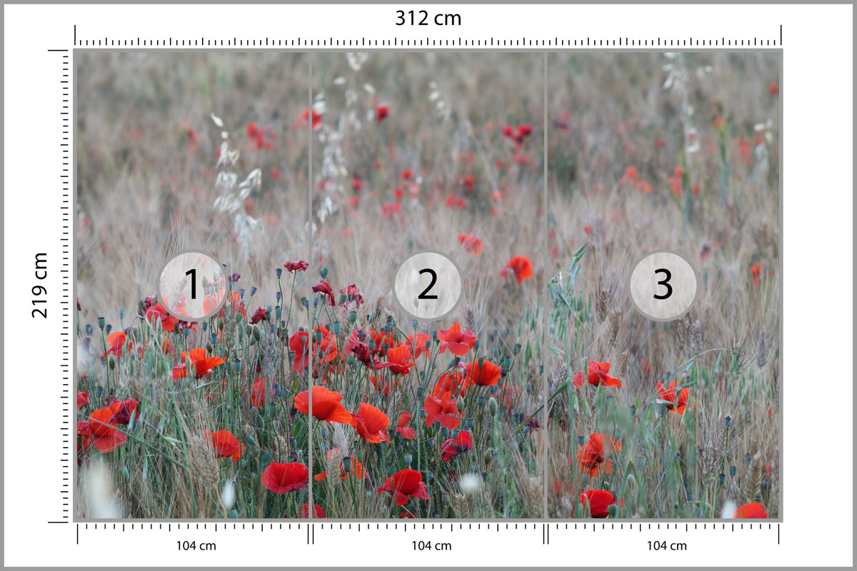 Fototapeta Pole Maków Wśród Traw 312 × 219 cm – podgląd kadru