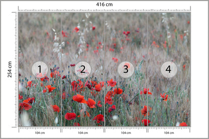 Fototapeta Pole Maków Wśród Traw 416 × 254 cm – podgląd kadru