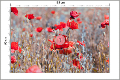Fototapeta Maki Łąka Vintage 135 × 90 cm – podgląd kadru