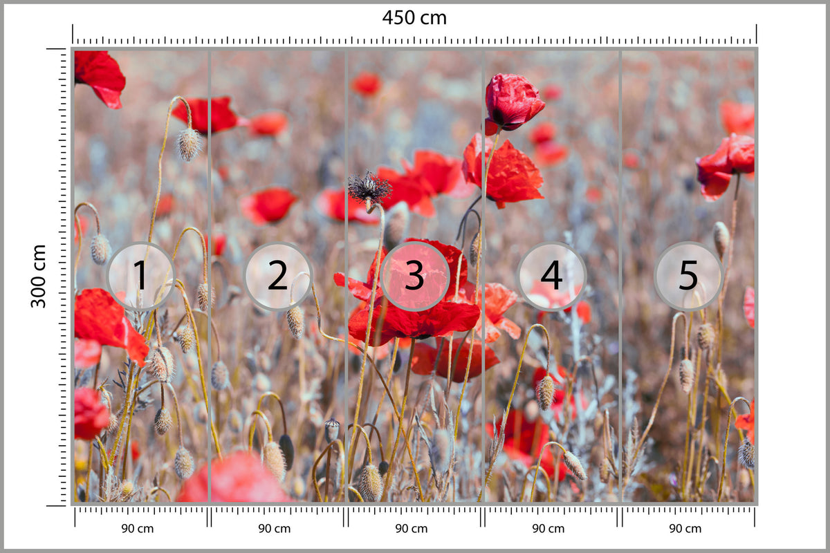 Fototapeta Maki Łąka Vintage 450 × 300 cm – podgląd kadru
