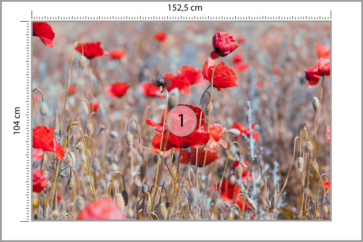Fototapeta Maki Łąka Vintage 152,5 × 104 cm – podgląd kadru