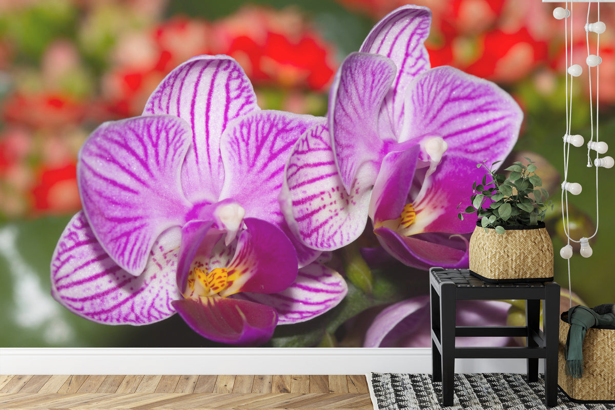 Fototapeta Optyczna Orchidea 3D – aranżacja wnętrza