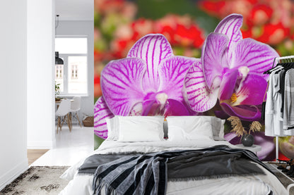 Fototapeta Optyczna Orchidea 3D – aranżacja wnętrza
