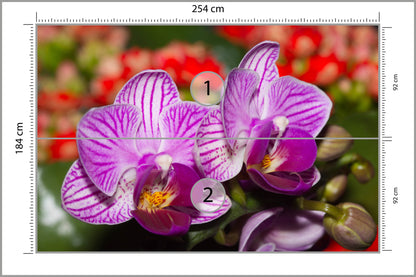 Fototapeta Optyczna Orchidea 3D 254 × 184 cm – podgląd kadru
