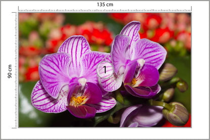 Fototapeta Optyczna Orchidea 3D 135 × 90 cm – podgląd kadru