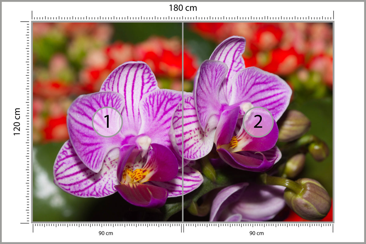 Fototapeta Optyczna Orchidea 3D 180 × 120 cm – podgląd kadru