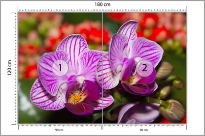 Fototapeta Optyczna Orchidea 3D 180 × 120 cm – podgląd kadru