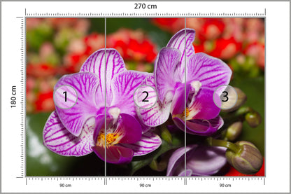 Fototapeta Optyczna Orchidea 3D 270 × 180 cm – podgląd kadru