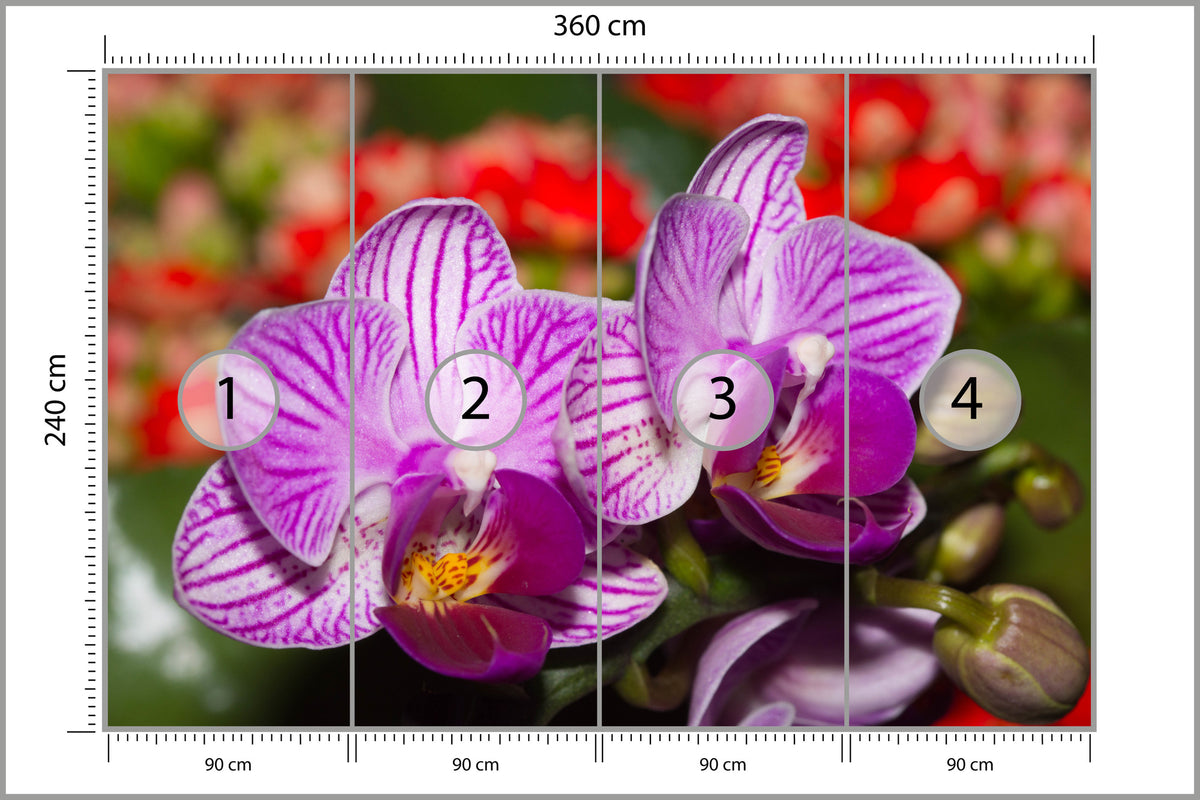 Fototapeta Optyczna Orchidea 3D 360 × 240 cm – podgląd kadru