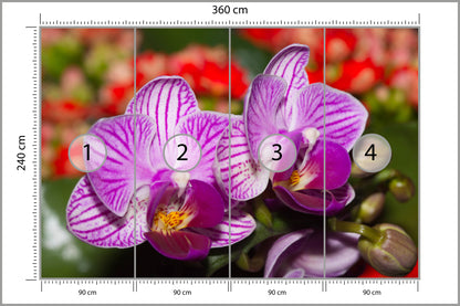 Fototapeta Optyczna Orchidea 3D 360 × 240 cm – podgląd kadru
