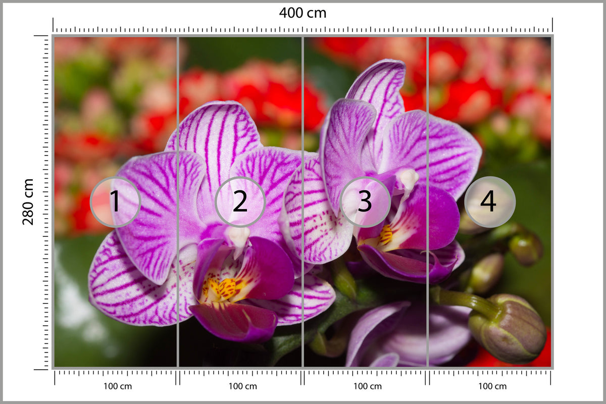 Fototapeta Optyczna Orchidea 3D 400 × 280 cm – podgląd kadru
