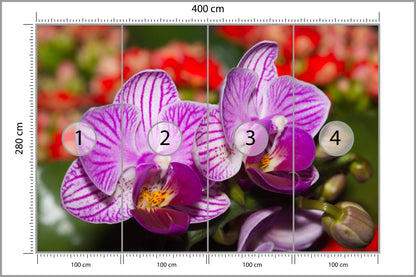 Fototapeta Optyczna Orchidea 3D 400 × 280 cm – podgląd kadru