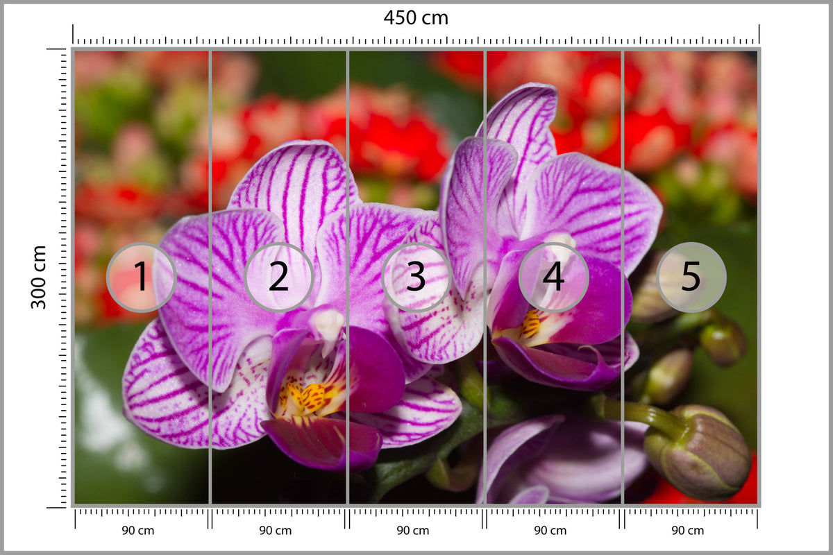 Fototapeta Optyczna Orchidea 3D 450 × 300 cm – podgląd kadru