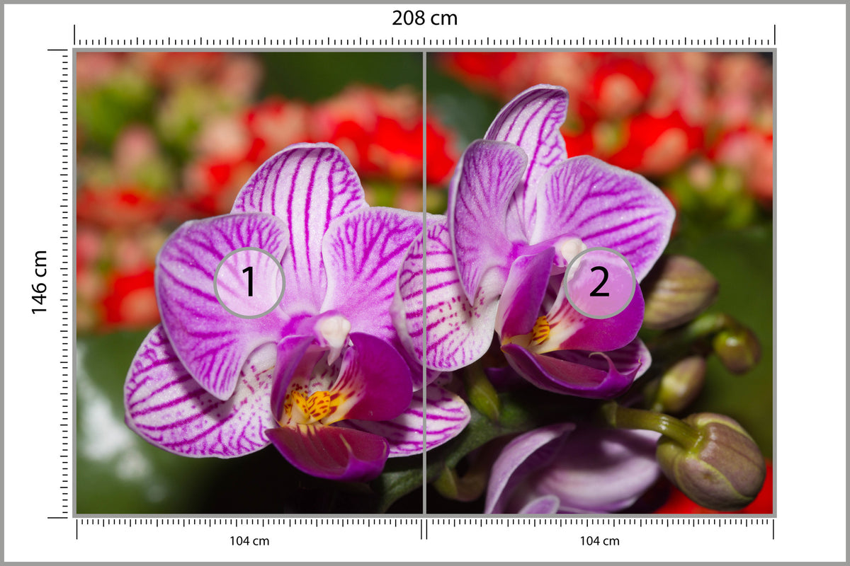 Fototapeta Optyczna Orchidea 3D 208 × 146 cm – podgląd kadru