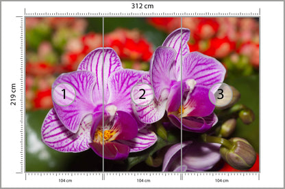 Fototapeta Optyczna Orchidea 3D 312 × 219 cm – podgląd kadru