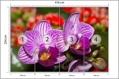 Fototapeta Optyczna Orchidea 3D 416 × 254 cm – podgląd kadru