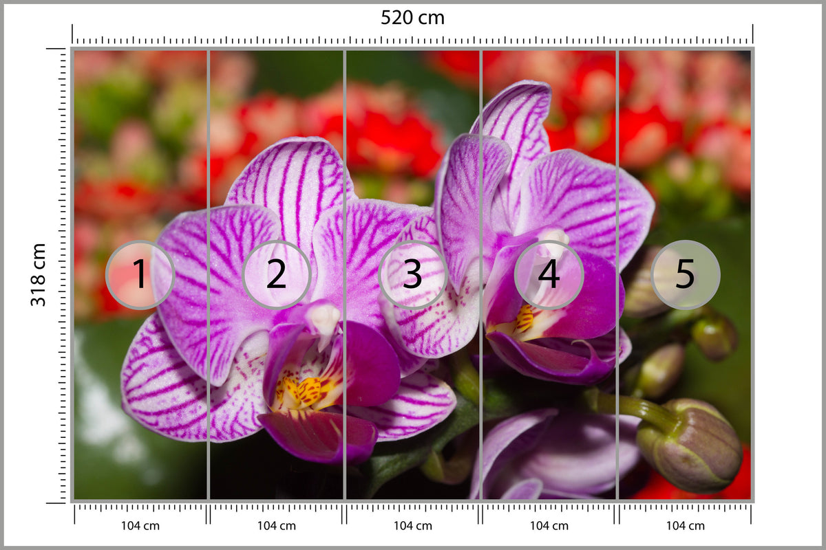 Fototapeta Optyczna Orchidea 3D 520 × 318 cm – podgląd kadru