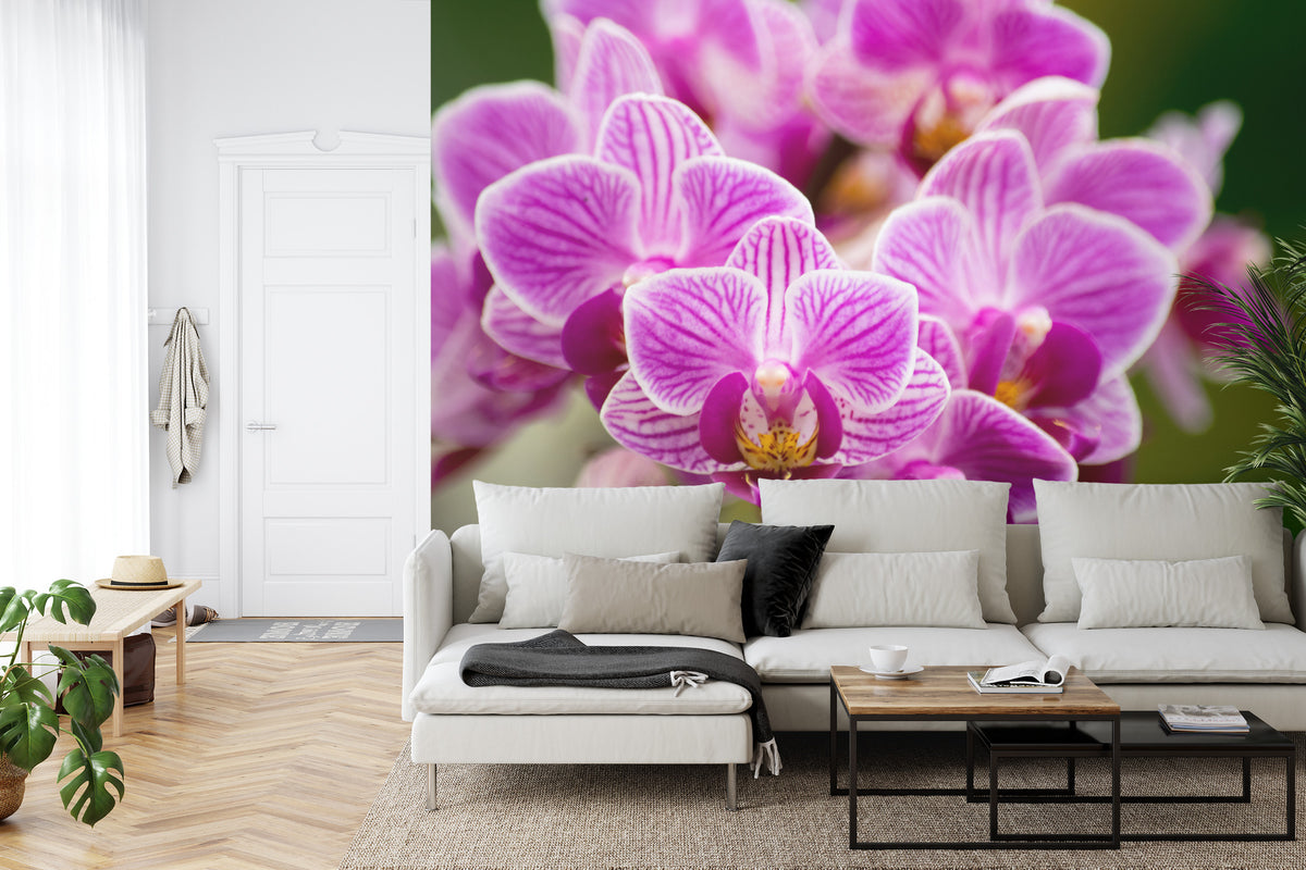 Fototapeta Bukiet Orchidei – aranżacja wnętrza
