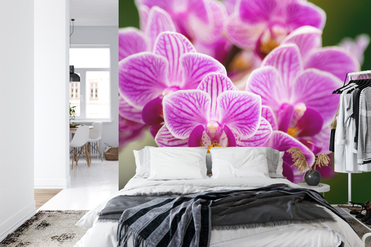 Fototapeta Bukiet Orchidei – aranżacja wnętrza