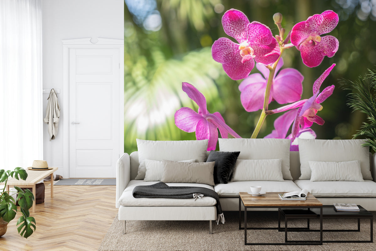 Fototapeta Piękne Orchidee Różowe Na Zielonym Tle – aranżacja wnętrza