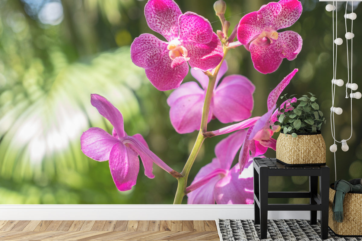 Fototapeta Piękne Orchidee Różowe Na Zielonym Tle – aranżacja wnętrza