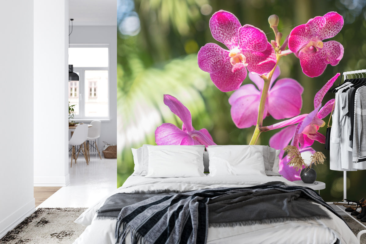 Fototapeta Piękne Orchidee Różowe Na Zielonym Tle – aranżacja wnętrza