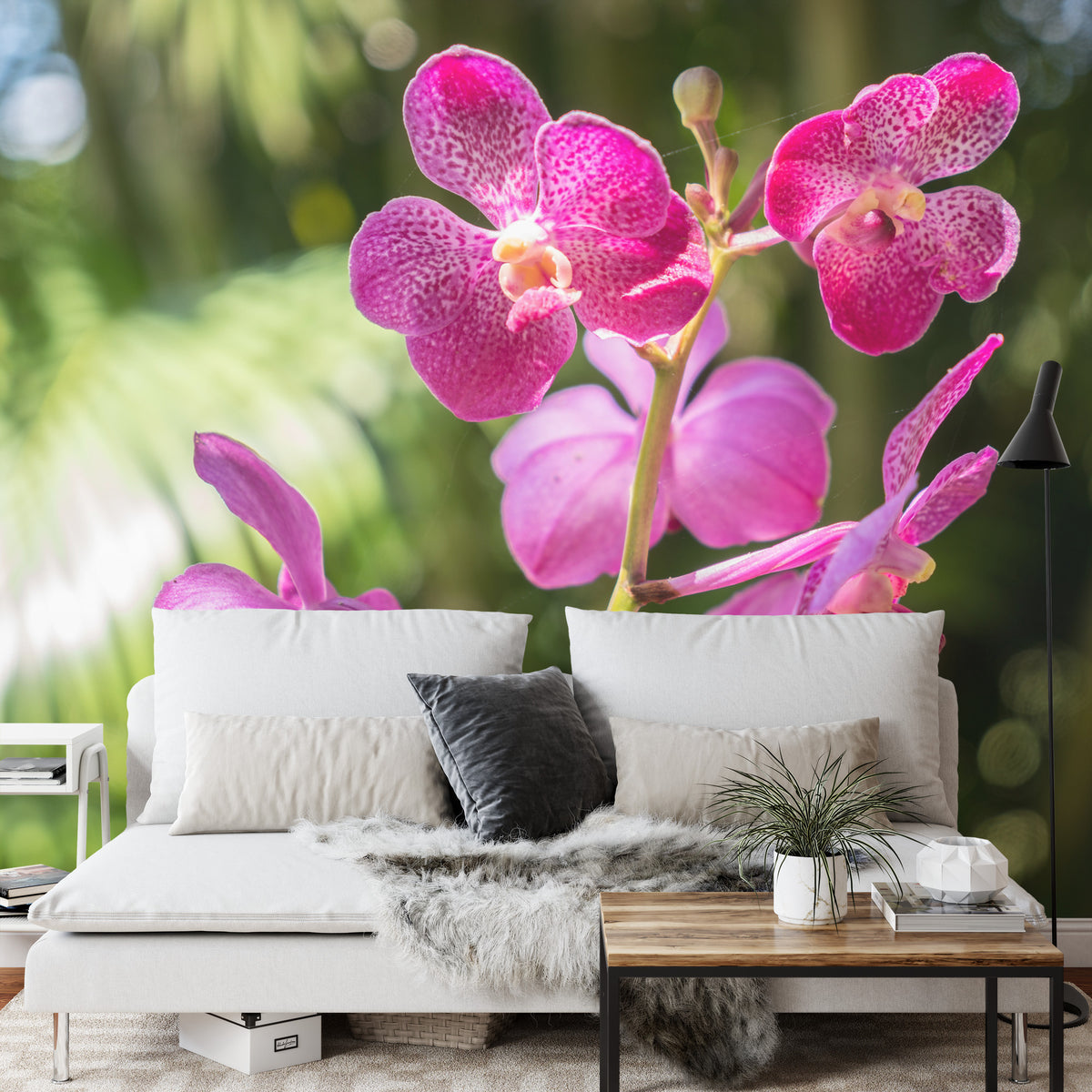 Fototapeta Piękne Orchidee Różowe Na Zielonym Tle – aranżacja wnętrza