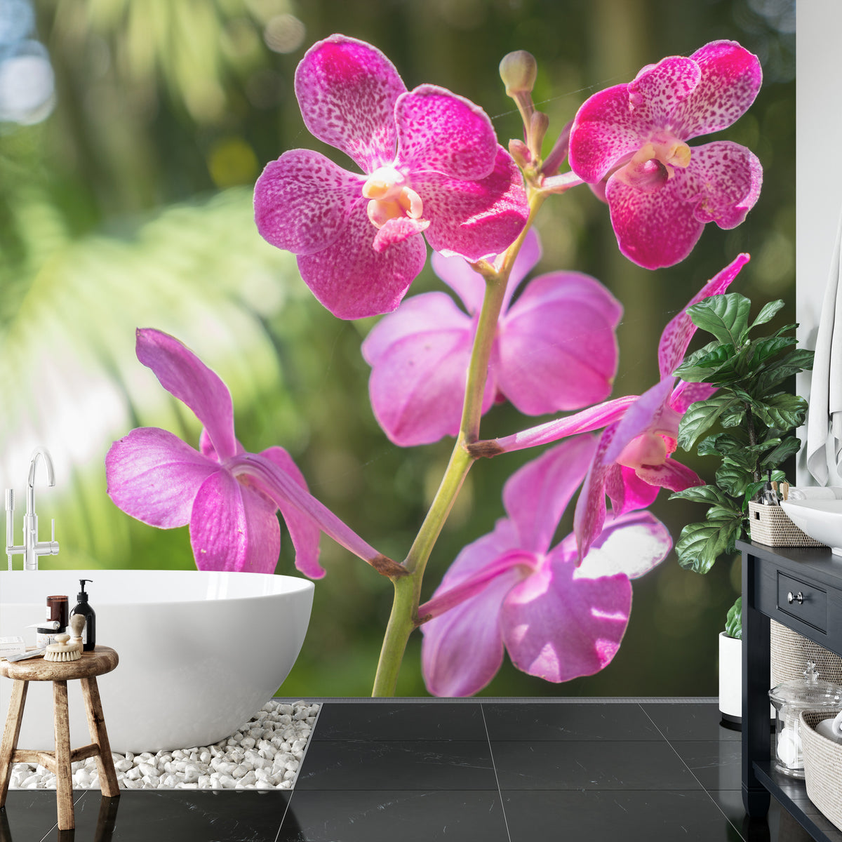 Fototapeta Piękne Orchidee Różowe Na Zielonym Tle – aranżacja wnętrza