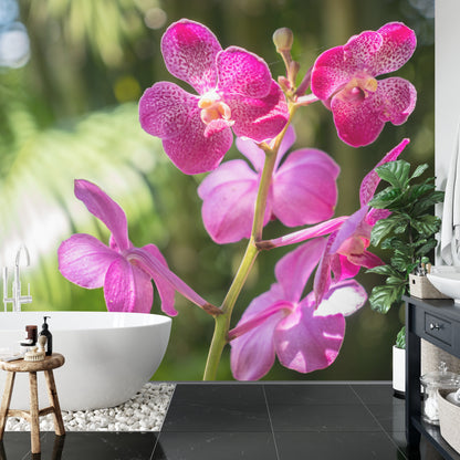 Fototapeta Piękne Orchidee Różowe Na Zielonym Tle – aranżacja wnętrza