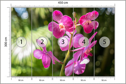 Fototapeta Piękne Orchidee Różowe Na Zielonym Tle 450 × 300 cm – podgląd kadru