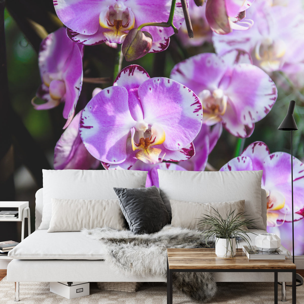 Fototapeta Piękne Orchidee Fioletowe Na Czarnym Tle – aranżacja wnętrza