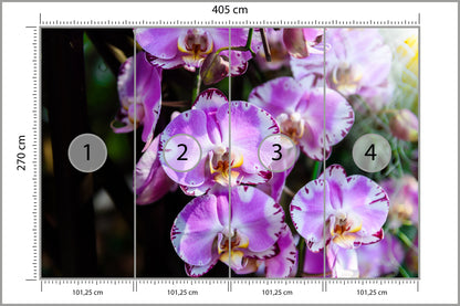 Fototapeta Piękne Orchidee Fioletowe Na Czarnym Tle 405 × 270 cm – podgląd kadru