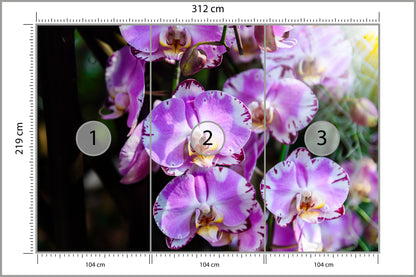 Fototapeta Piękne Orchidee Fioletowe Na Czarnym Tle 312 × 219 cm – podgląd kadru