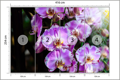 Fototapeta Piękne Orchidee Fioletowe Na Czarnym Tle 416 × 254 cm – podgląd kadru