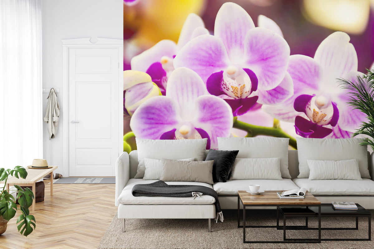 Fototapeta Tropikalna Orchidea – aranżacja wnętrza