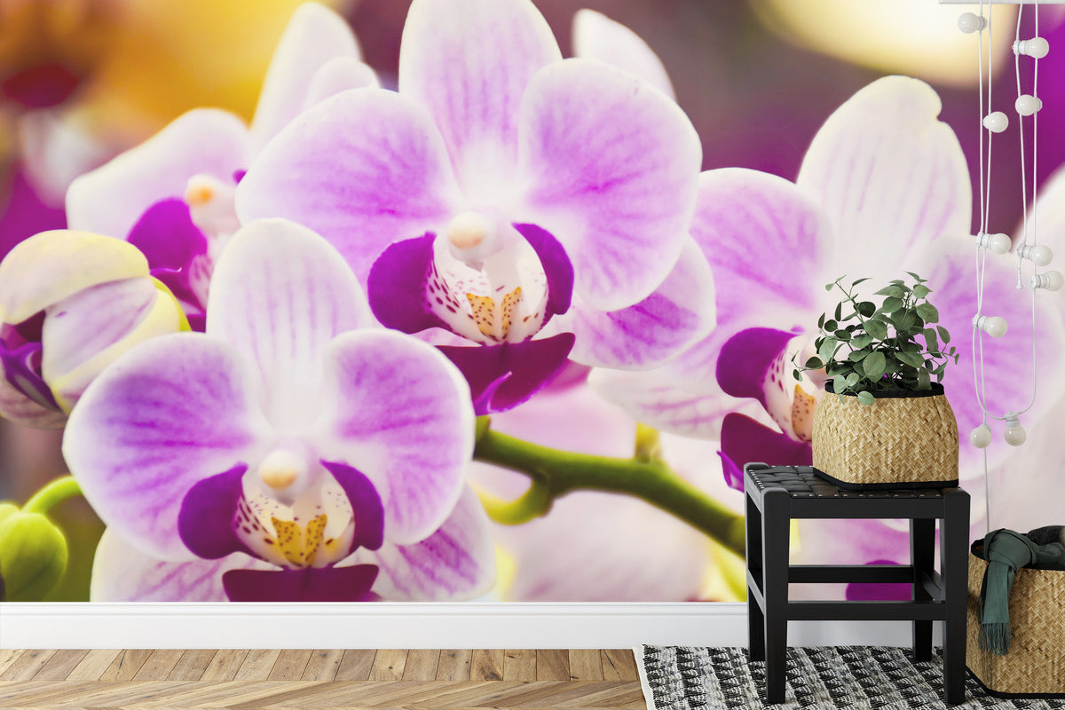 Fototapeta Tropikalna Orchidea – aranżacja wnętrza