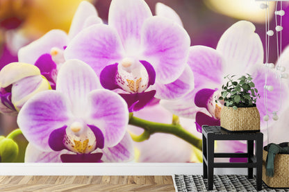 Fototapeta Tropikalna Orchidea – aranżacja wnętrza