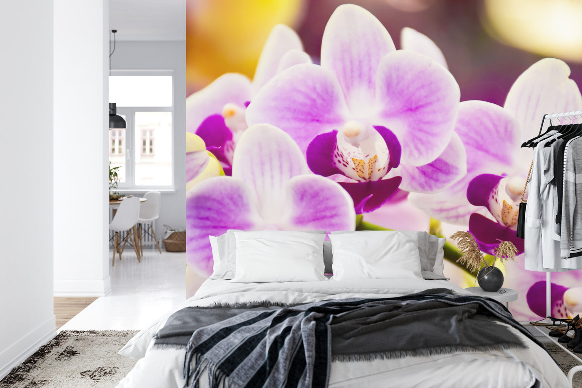 Fototapeta Tropikalna Orchidea – aranżacja wnętrza