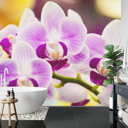 Fototapeta Tropikalna Orchidea – aranżacja wnętrza