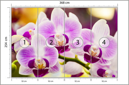 Fototapeta Tropikalna Orchidea 368 × 254 cm – podgląd kadru