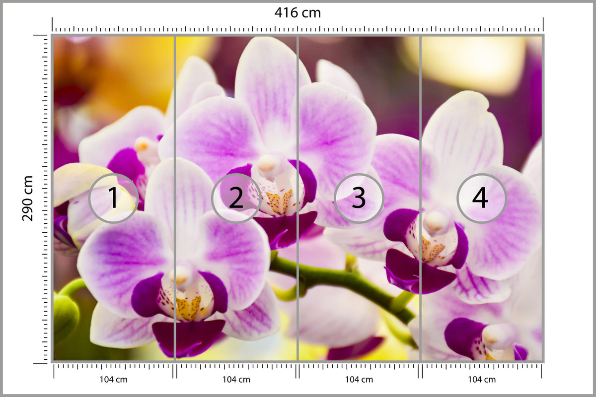 Fototapeta Tropikalna Orchidea 416 × 290 cm – podgląd kadru