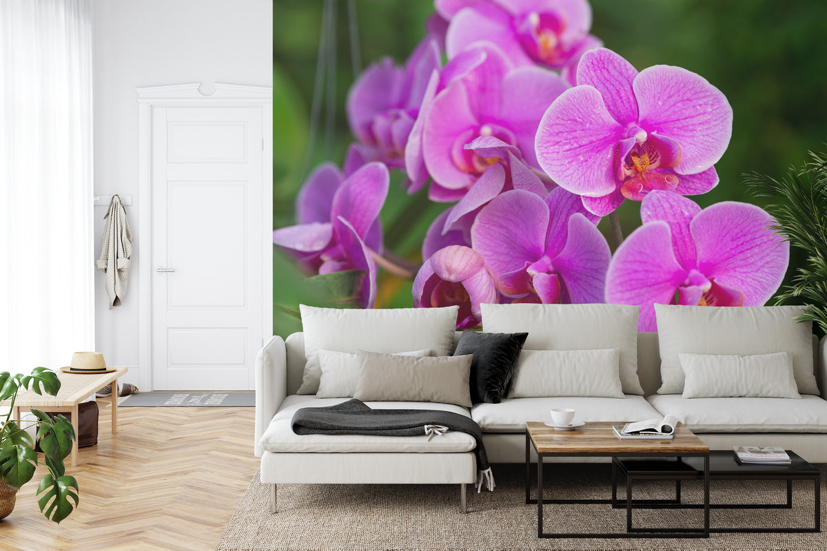 Fototapeta Kwiaty Orchidei 3D – aranżacja wnętrza