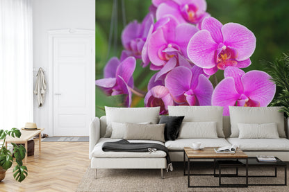Fototapeta Kwiaty Orchidei 3D – aranżacja wnętrza