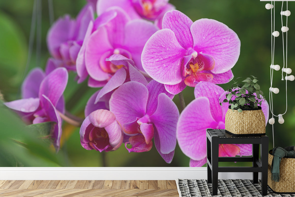 Fototapeta Kwiaty Orchidei 3D – aranżacja wnętrza